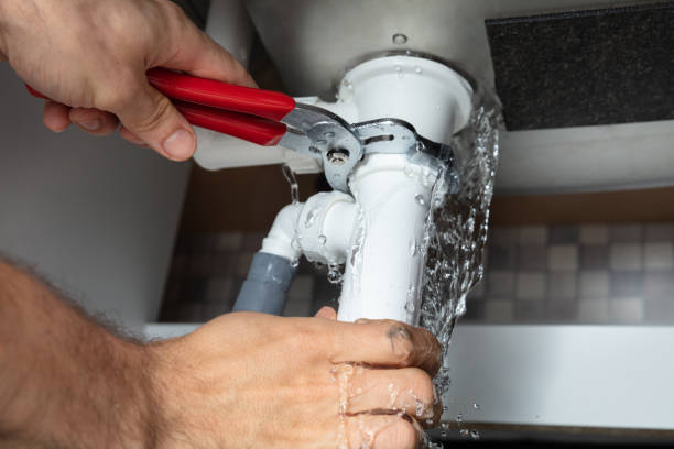 Best Flooded house restoration  in Sylvester, GA