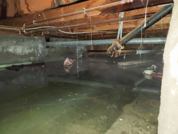 Best Flood restoration services  in Sylvester, GA
