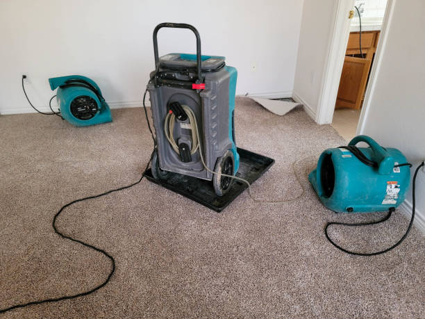 Best Emergency water damage restoration  in Sylvester, GA