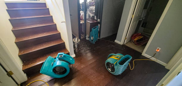 Best Water damage restoration specialists  in Sylvester, GA