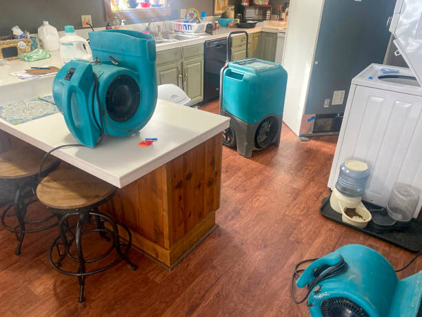 Best Basement water damage restoration  in Sylvester, GA