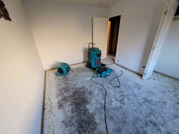Best Water damage cleanup near me  in Sylvester, GA