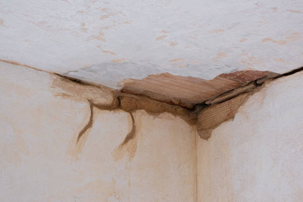 Best Sewage cleanup and water damage restoration  in Sylvester, GA
