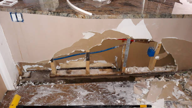 Best Mold removal after water damage  in Sylvester, GA