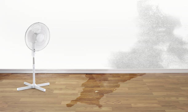 Best Water damage repair service  in Sylvester, GA