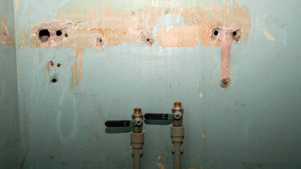 Best Water damage restoration near me  in Sylvester, GA
