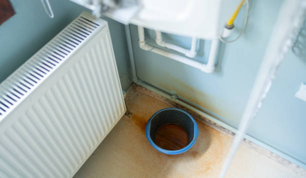 Best Water damage restoration cost  in Sylvester, GA