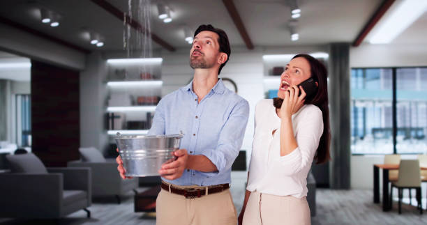 Best Basement water damage restoration  in Sylvester, GA